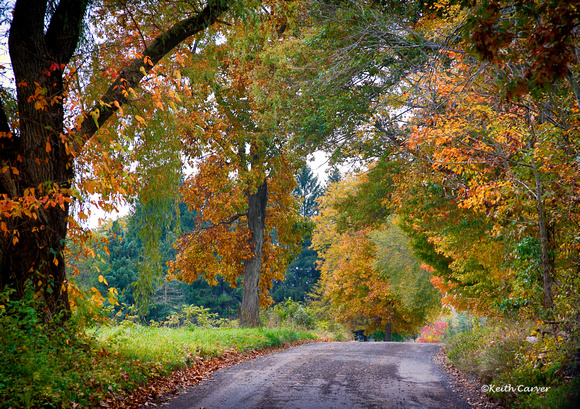 Fall foliage along Moody Bridge Road