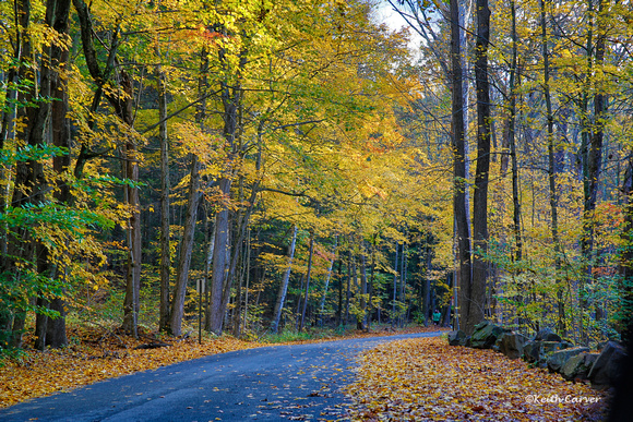 Country road near Puffers Pond