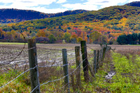 Fall foliage, Holyoke Range