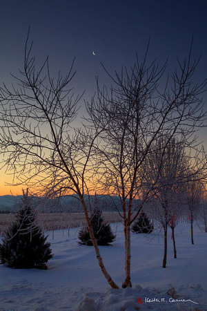 Crescent moon at dawn over snowy field, Honey Pot, Hadley, Mass.