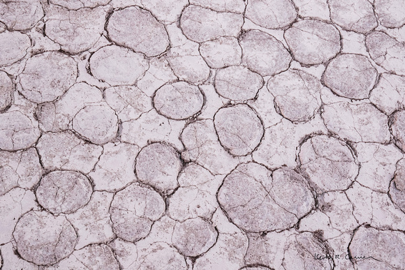 Round shapes in the clay pan floor at Deadvlei