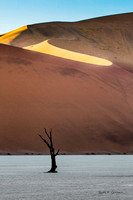 A lone tree at Deadvlei with the "Big Daddy" dune in the background