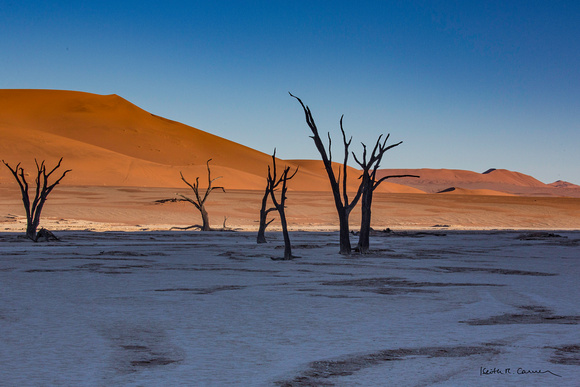 Deadvlei with Big Daddy dune in the background