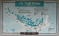 map of Ding Darling and Wildlife Drive