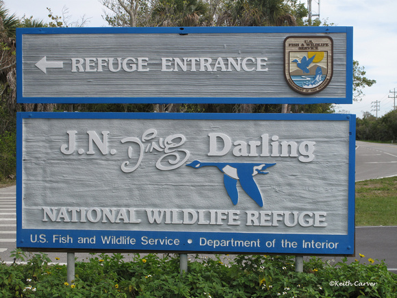 Ding Darling National Wildlife Refuge