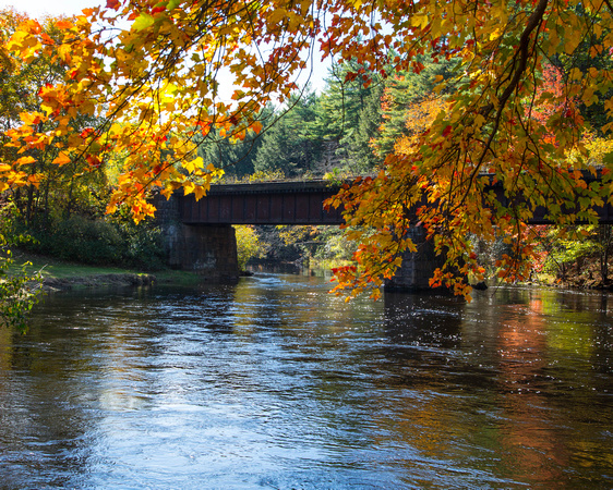 Millers-River-fall-foliage--9Oct2013-0909