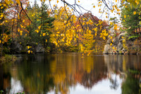 Fall foliage, Puffers Pond