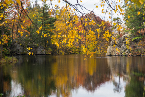 Fall foliage, Puffers Pond