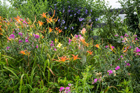 Hadley flower garden in September