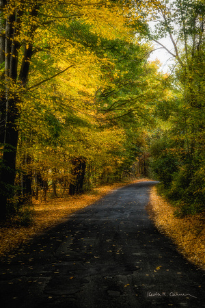 A country road in October