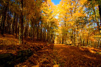 Fall scenes western Massachusetts