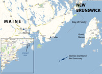 Machias Seal Island map
