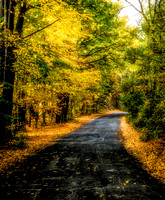 Arcadia-road-fall-foliage-15Oct2013