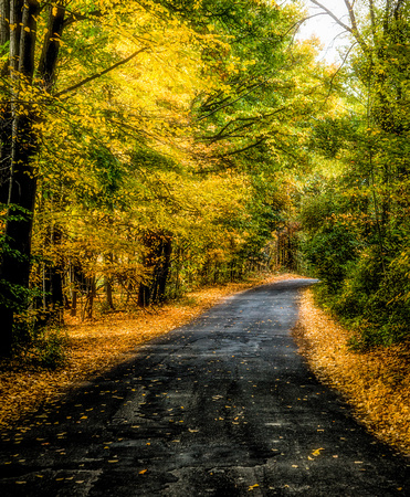 Arcadia-road-fall-foliage-15Oct2013