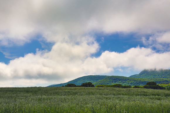 Clouds draping over Mt. Norwottuck, Holyoke Range