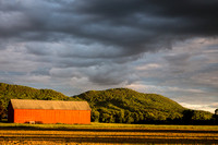 Tobacco Barn and Mt. Holyoke in late pm sun, clouds - Rte 47 Hadley 6June2014  - 5DM38347
