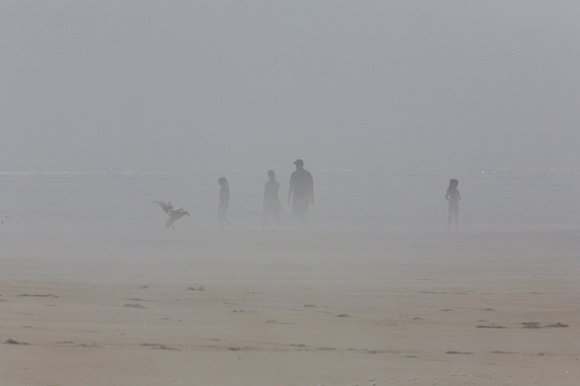 Foggy morning at Popham Beach