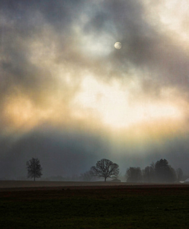 Sun-and-fog-South-Maple-St-Nov2013