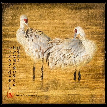 Sandhill cranes with haiku