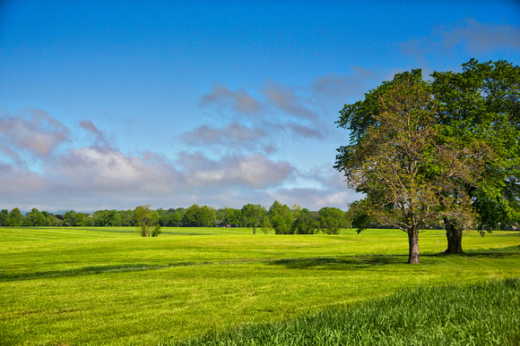 Farm field, Hadley, Massachusetts