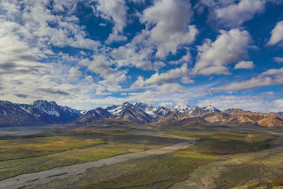 Alaska Range from Denali Park Rd.