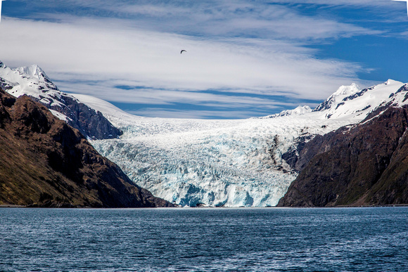 Holgate Glacier, Aialik Bay