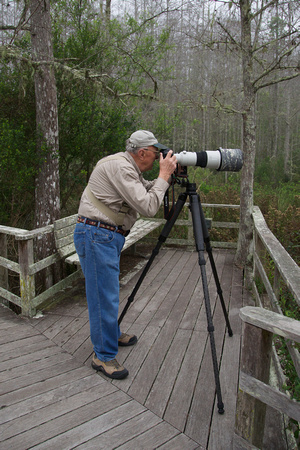 Karl Gerstenberger at Corkscrew Swamp Sanctuary