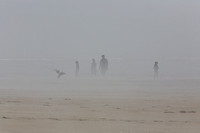 Foggy morning at Popham Beach