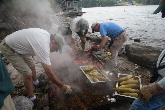 Filling serving trays with lobsters, corn, potatoes and clams