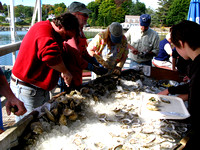 Shucking oysters at the Pemaquid Oyster Festival