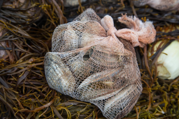 A mesh bag of cooked and open clams.