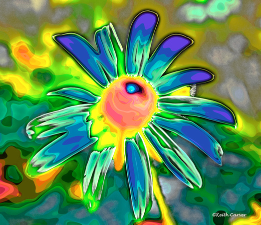 Psychedelic Daisy