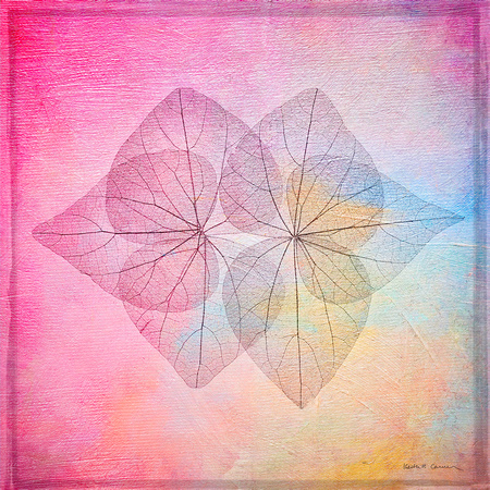 SIx Bodhi Leaves on pink and blue