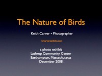 The Nature of Birds -  Lathrop show 2008
